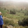 Tegge di Apegnago- A.M